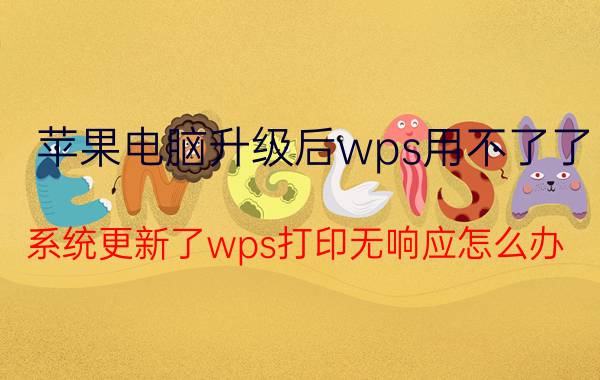 苹果电脑升级后wps用不了了 系统更新了wps打印无响应怎么办？